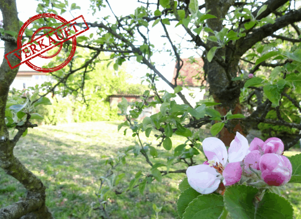 Foto der Immobilie (3638)