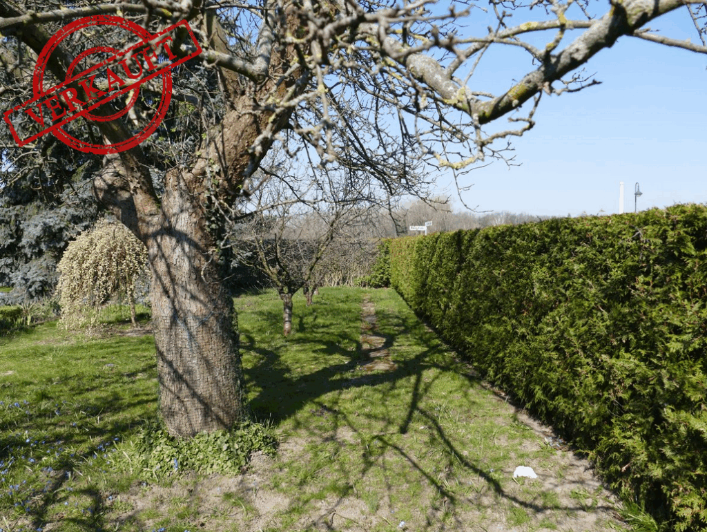 Foto der Immobilie (3480)