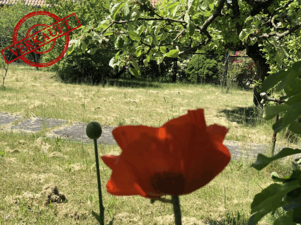 Foto der Immobilie (3453)