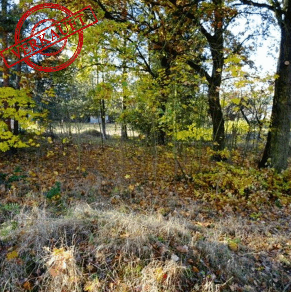 Foto der Immobilie (3650)