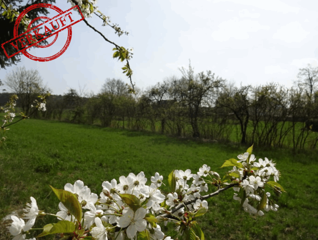 Foto der Immobilie (3642)