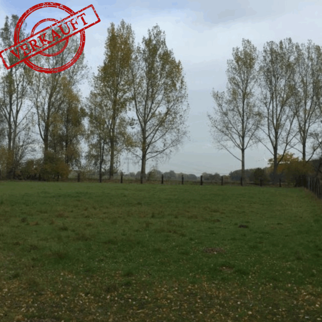 Foto der Immobilie (3660)