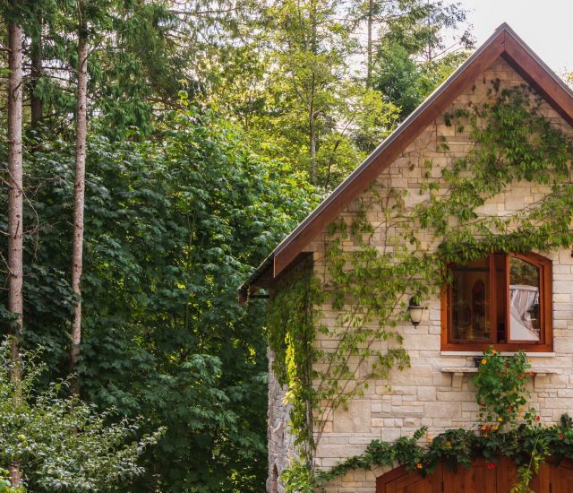 greg-rosenke-HHgnQFBVs6o-unsplash